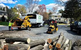 Best Utility Line Clearance  in Westlake Village, CA