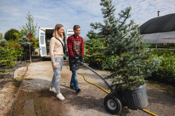 Best Tree Removal  in Westlake Village, CA